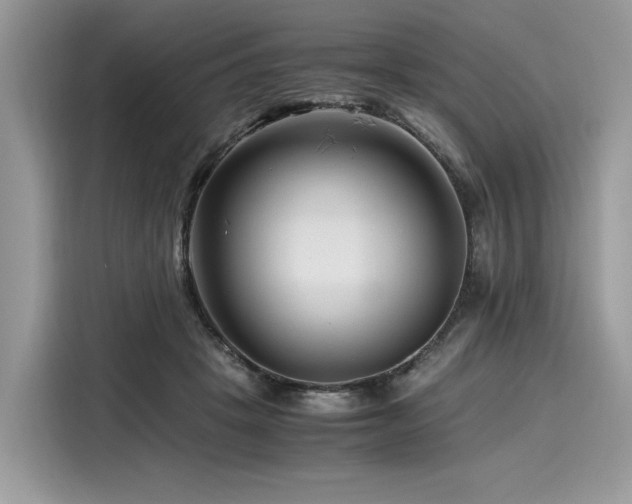 X0000116260457200911301156