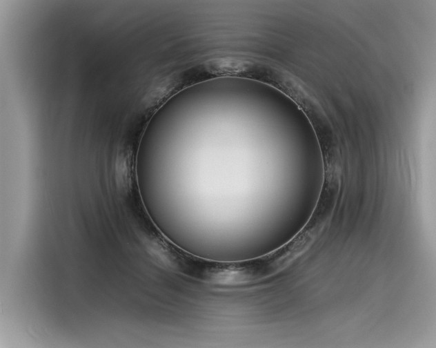 X0000116260460200911301156