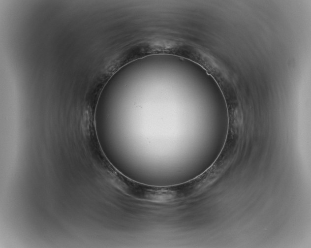 X0000116260463200911301156