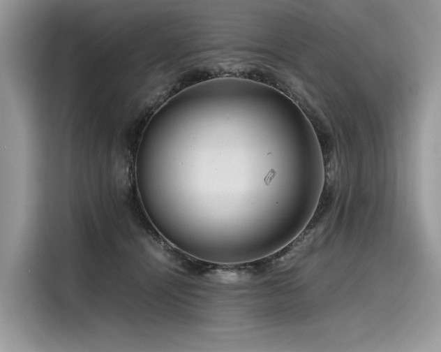 X0000116260464200911301156
