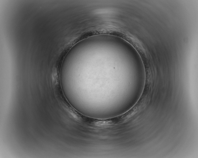 X0000116260465200911301156