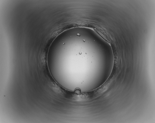 X0000116260466200911301156