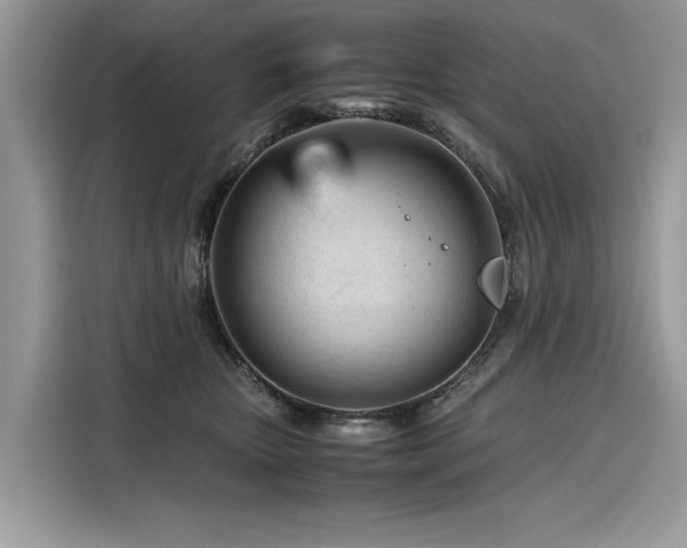X0000116260467200911301156