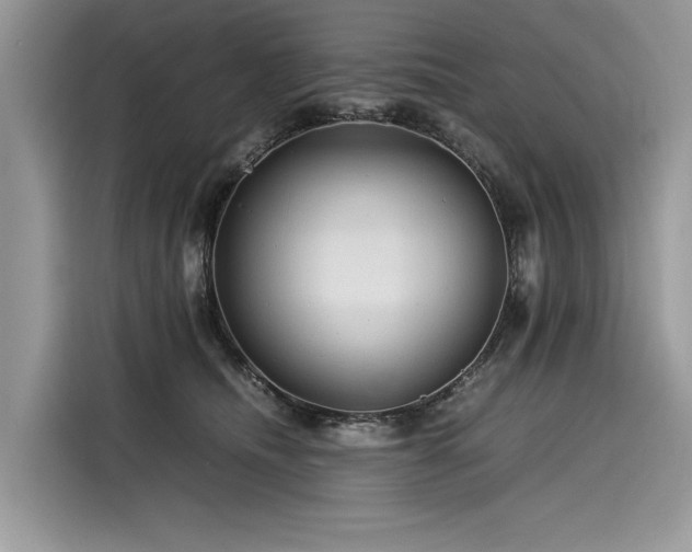 X0000116260468200911301156