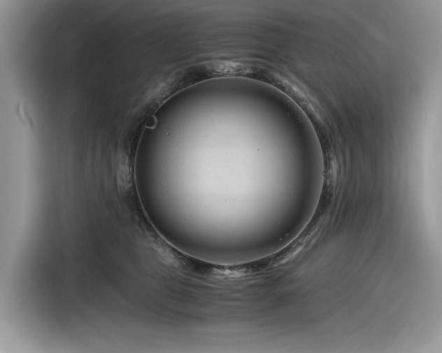 X0000116260469200911301157