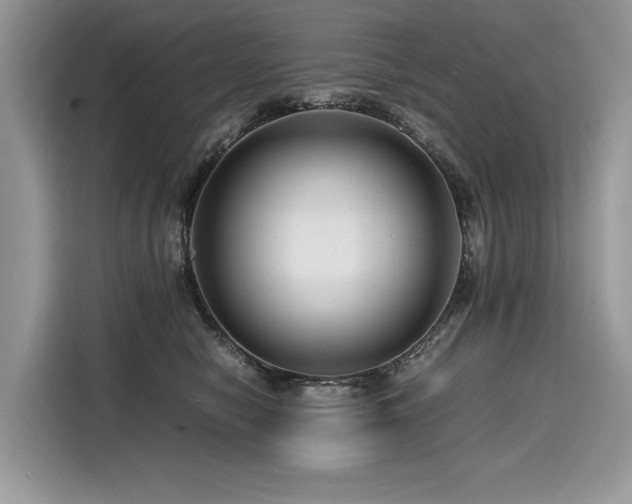 X0000116260470200911301157