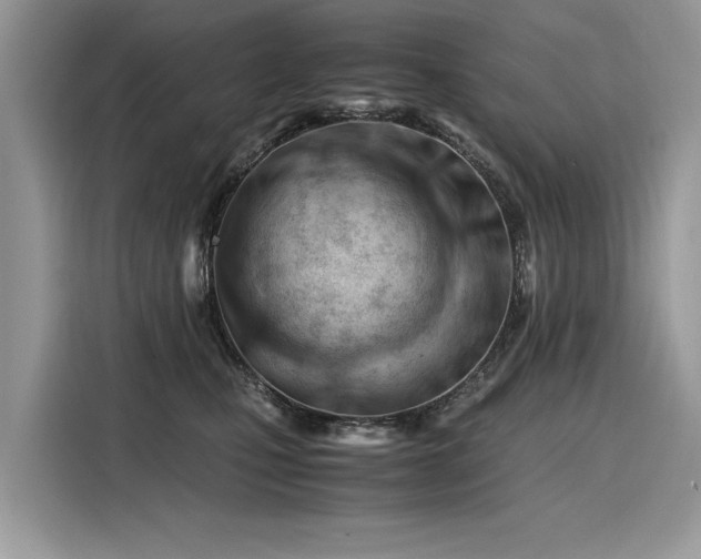 X0000116260471200911301157