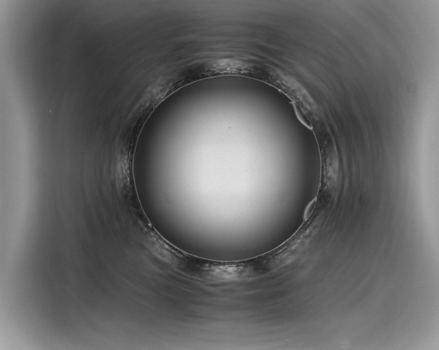 X0000116260473200911301157