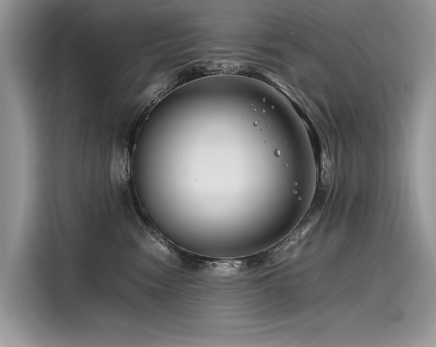 X0000116260474200911301157