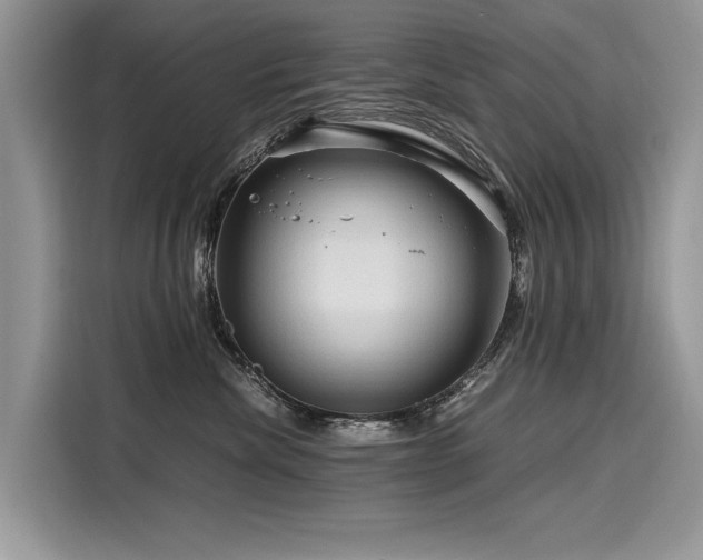 X0000116260476200911301157