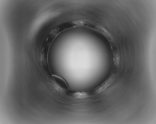 X0000116260477200911301157
