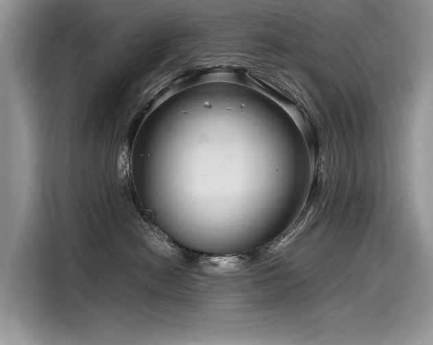 X0000116260478200911301157