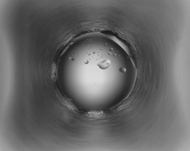X0000116260480200911301157