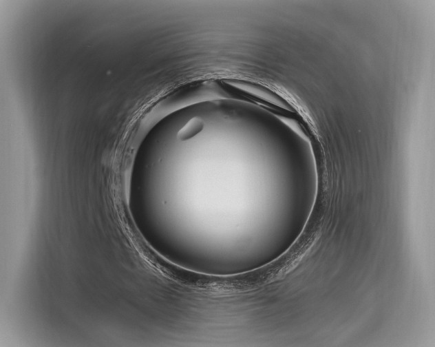 X0000116260481200911301156