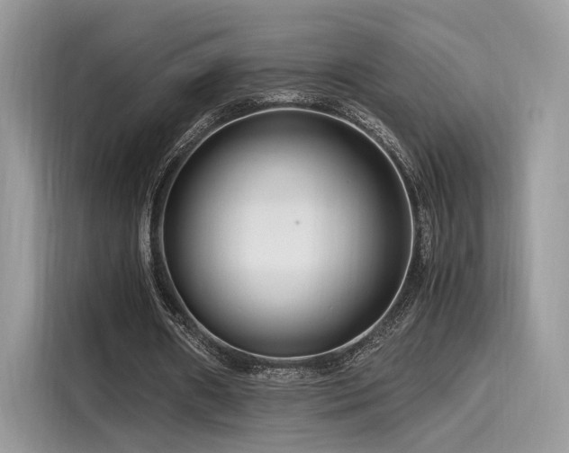 X0000116260482200911301156