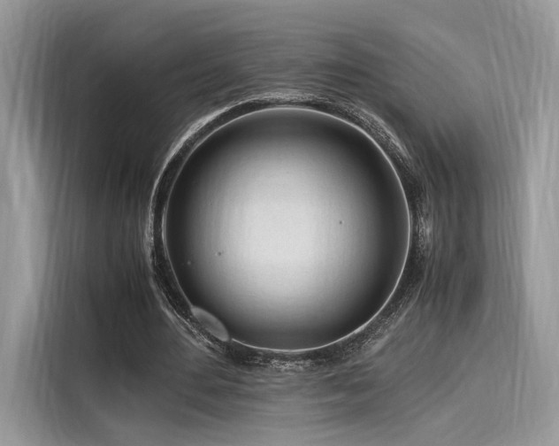 X0000116260484200911301156