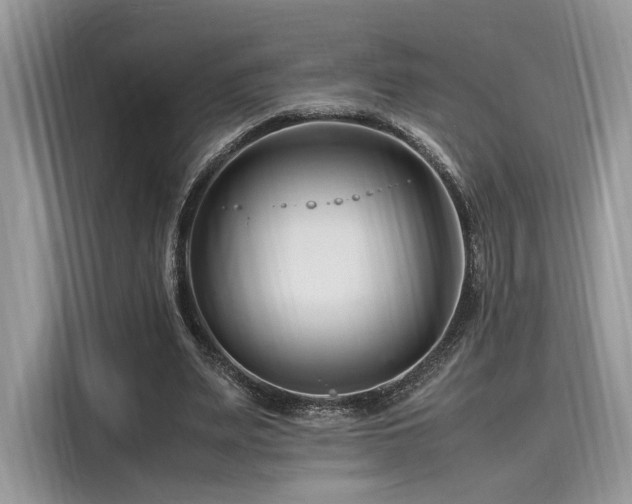 X0000116260487200911301156