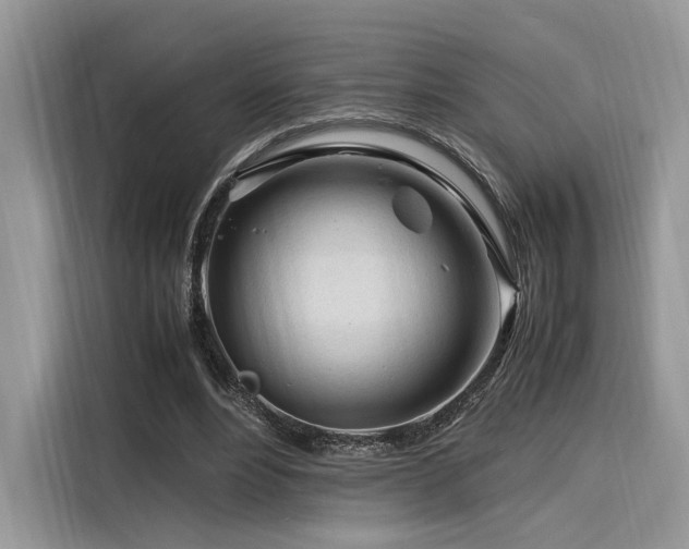 X0000116260488200911301156