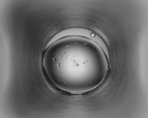 X0000116260489200911301156
