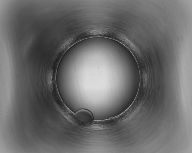 X0000116260490200911301156