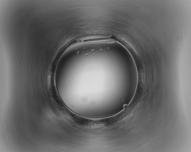 X0000116260491200911301156