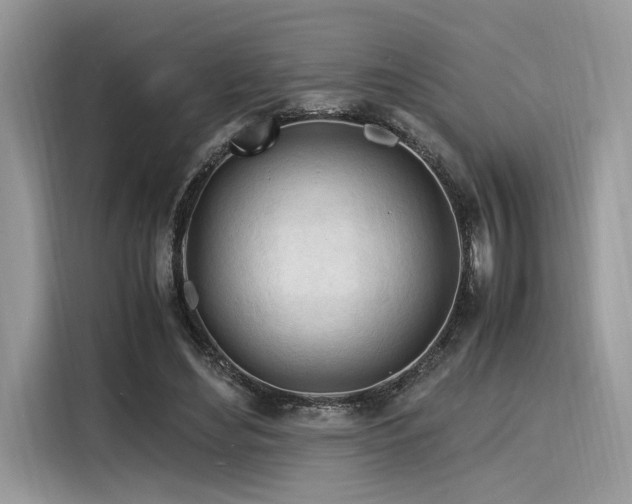 X0000116260492200911301156