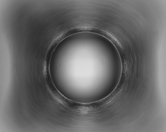 X0000116260494200911301156