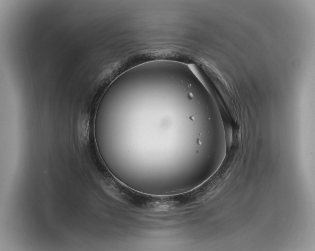 X0000116260495200911301156
