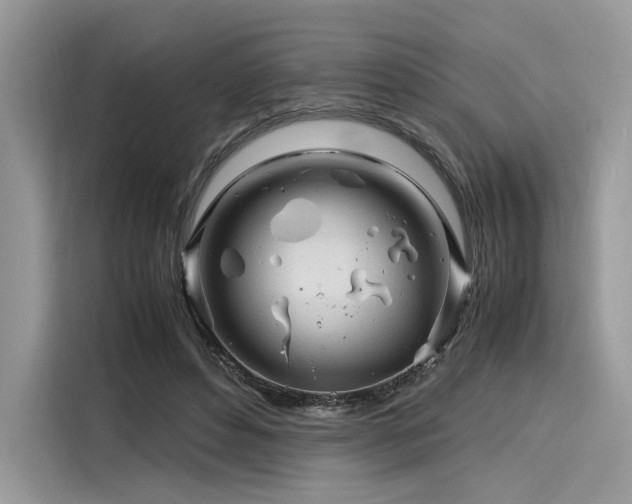 X0000116260496200911301156