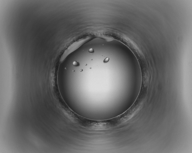 X0000116260497200911301156