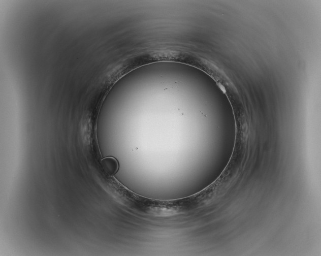 X0000116260498200911301156