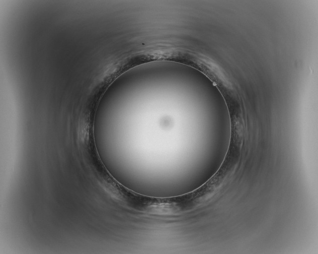 X0000116260499200911301156