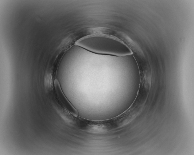 X0000116260500200911301156