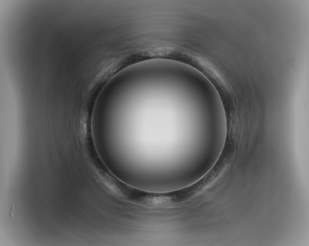 X0000116260501200911301156