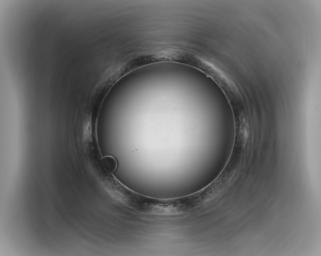 X0000116260502200911301156