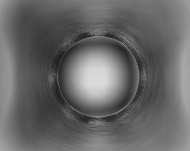 X0000116260503200911301156