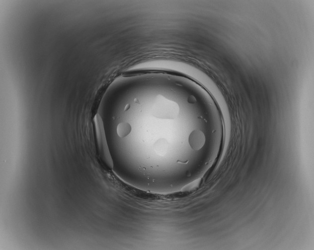 X0000116260504200911301156