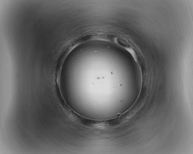 X0000116260505200911301156