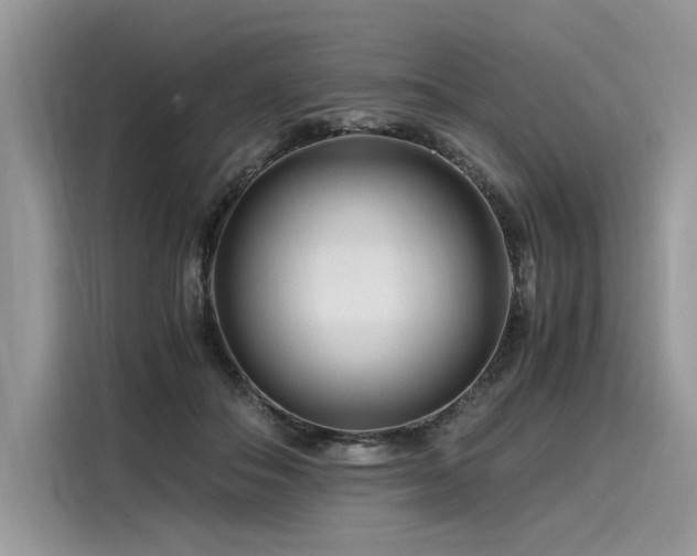 X0000116260506200911301156