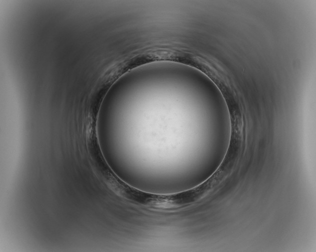 X0000116260507200911301156
