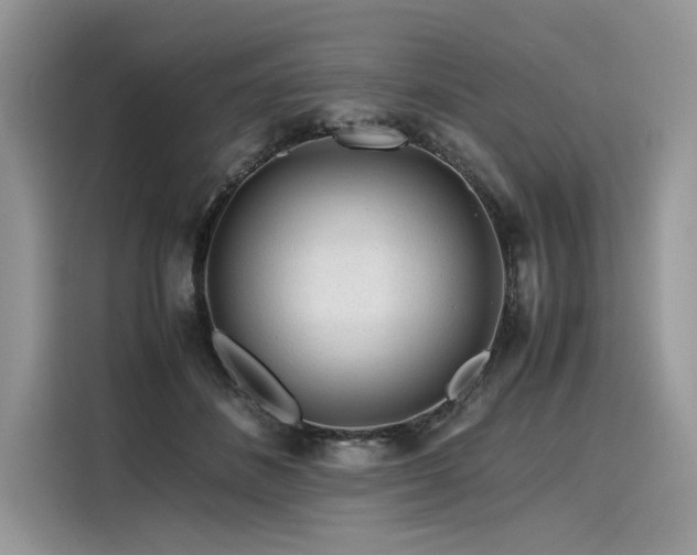 X0000116260508200911301156