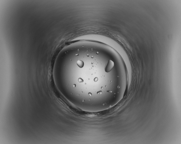 X0000116260509200911301156