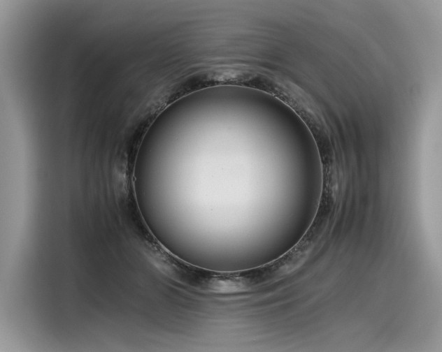 X0000116260510200911301156