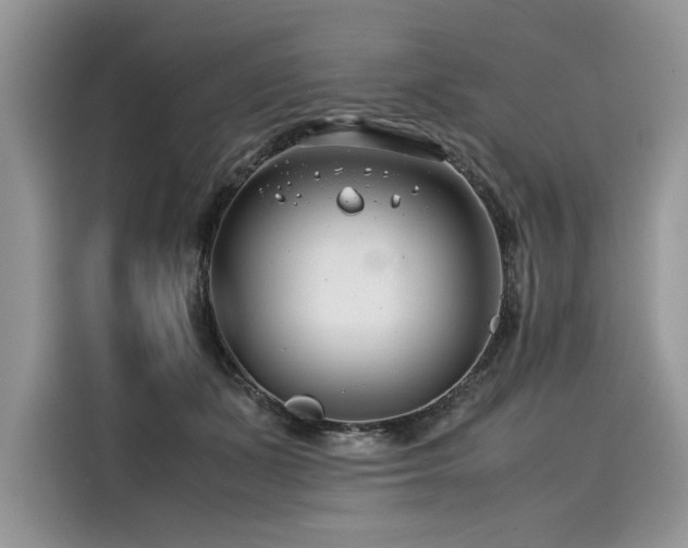 X0000116260511200911301156