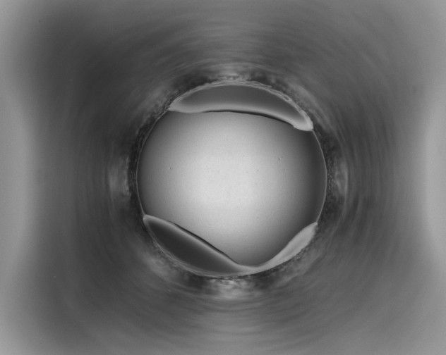 X0000116260512200911301156