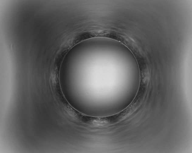 X0000116260515200911301156