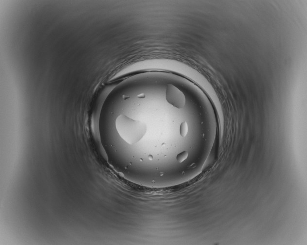 X0000116260516200911301156