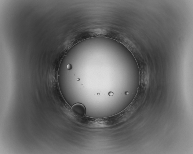 X0000116260518200911301156