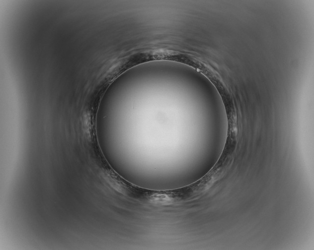 X0000116260519200911301156