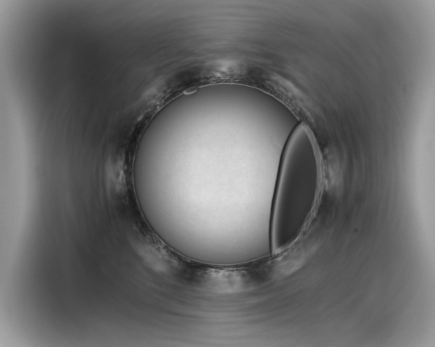 X0000116260520200911301156
